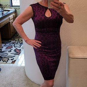 Cache purple and black dress 👗 size 4